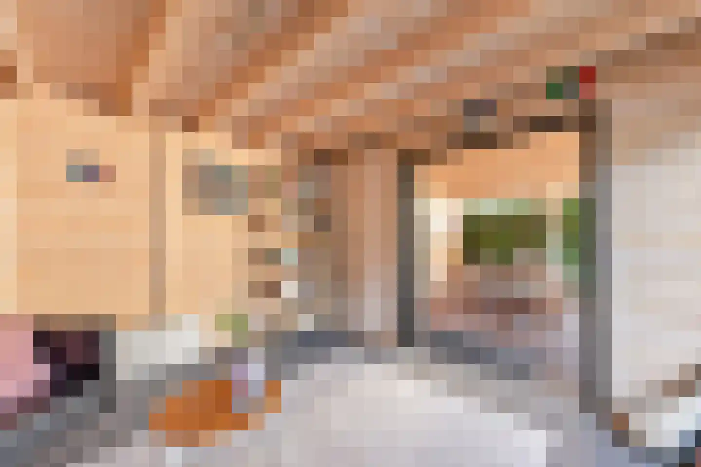 Hofmeesterij 97 Huissen thumbnail 35