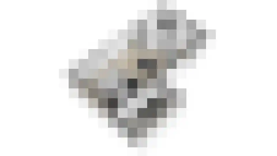 Hofmeesterij 97 Huissen thumbnail 41