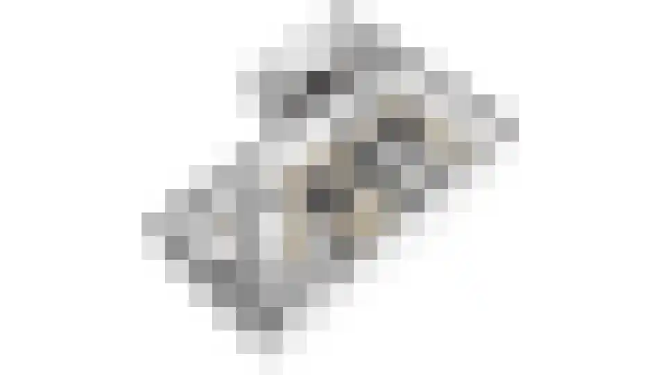 Hofmeesterij 97 Huissen thumbnail 42