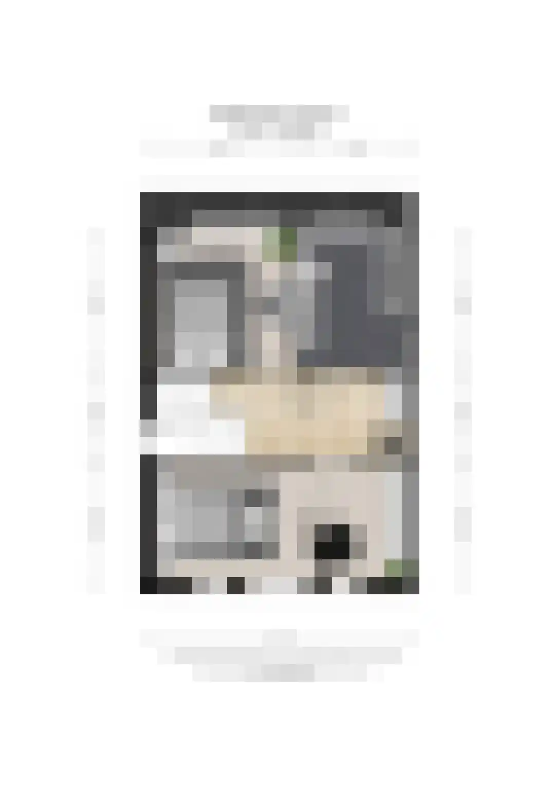 Hofmeesterij 97 Huissen thumbnail 43
