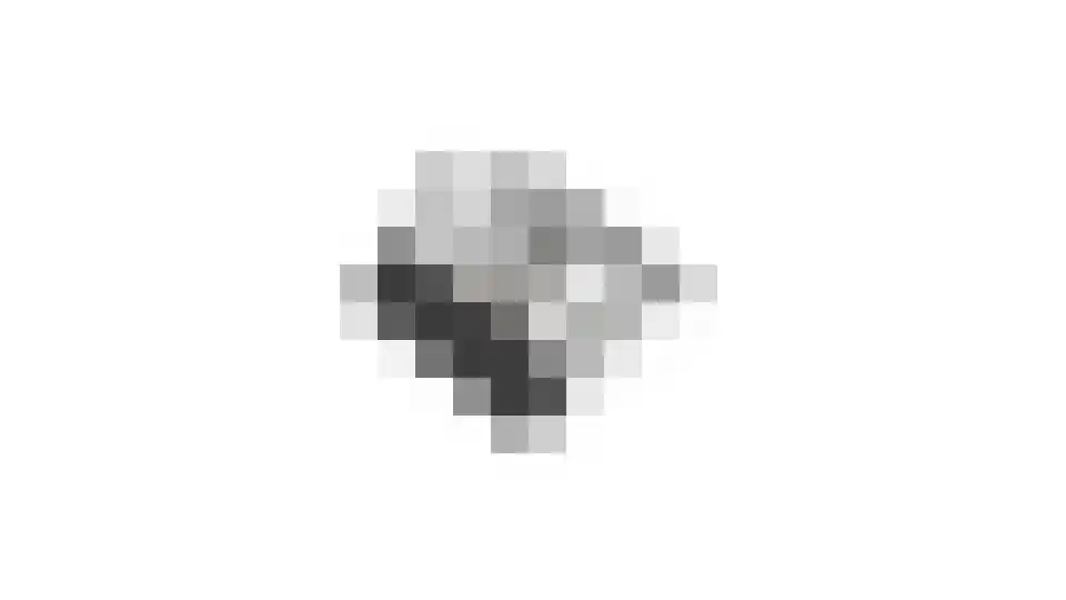 Hofmeesterij 97 Huissen thumbnail 47