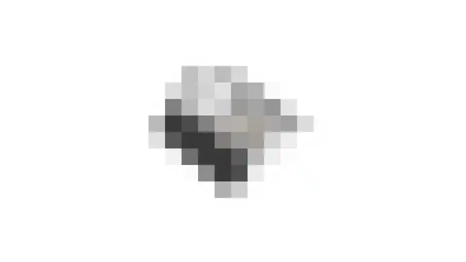 Hofmeesterij 97 Huissen thumbnail 48