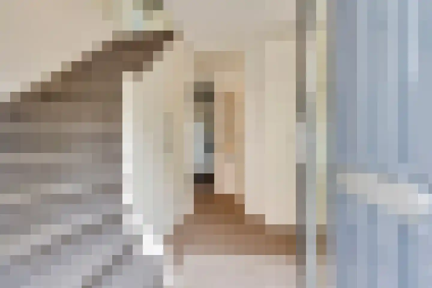 Hofmeesterij 97 Huissen thumbnail 5
