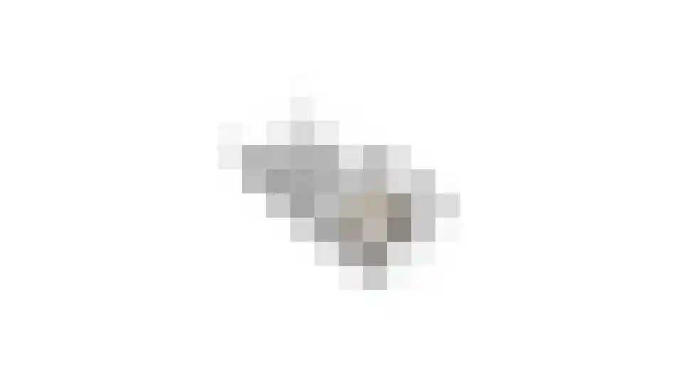 Hofmeesterij 97 Huissen thumbnail 50