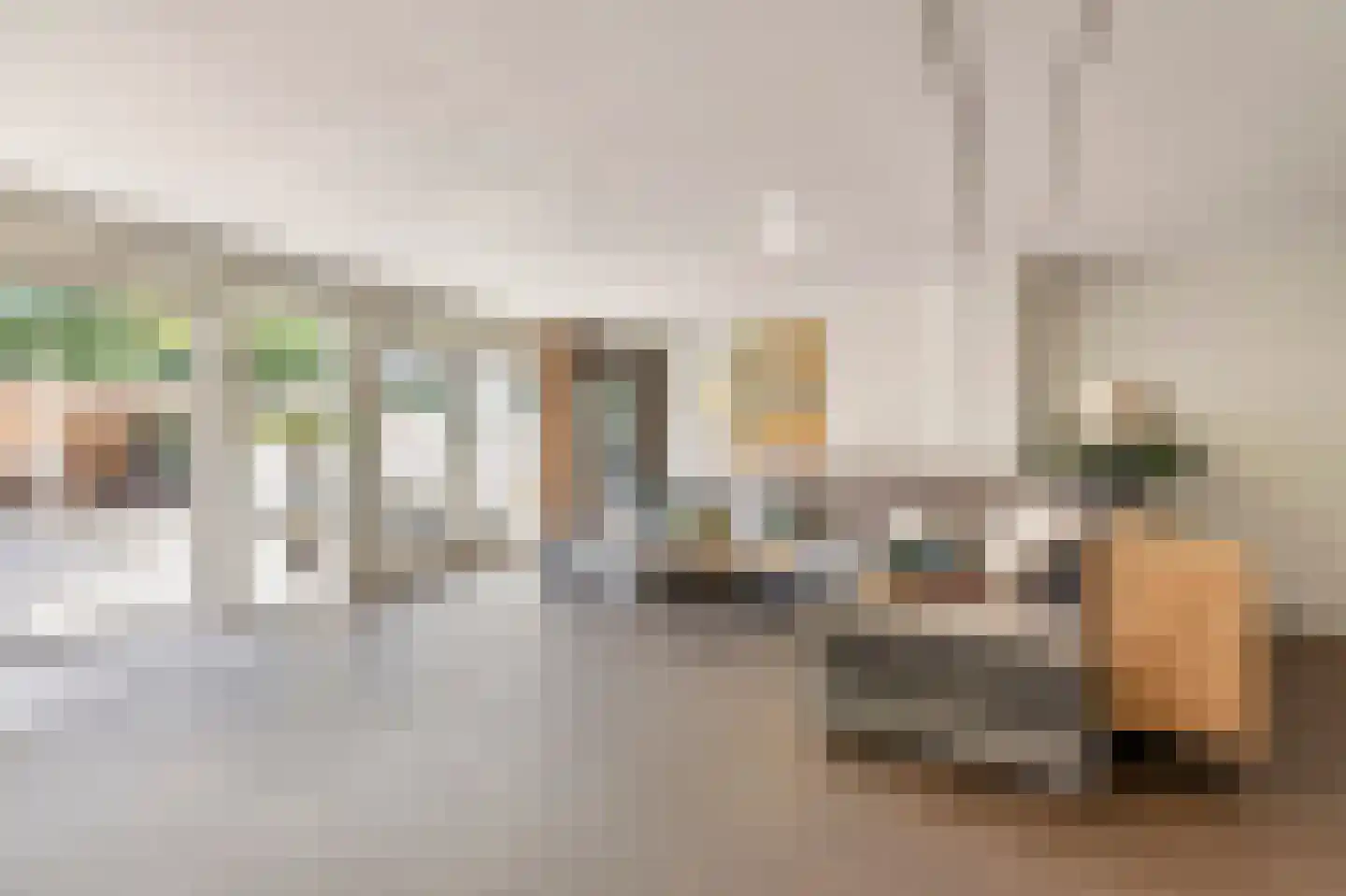 Hofmeesterij 97 Huissen thumbnail 9