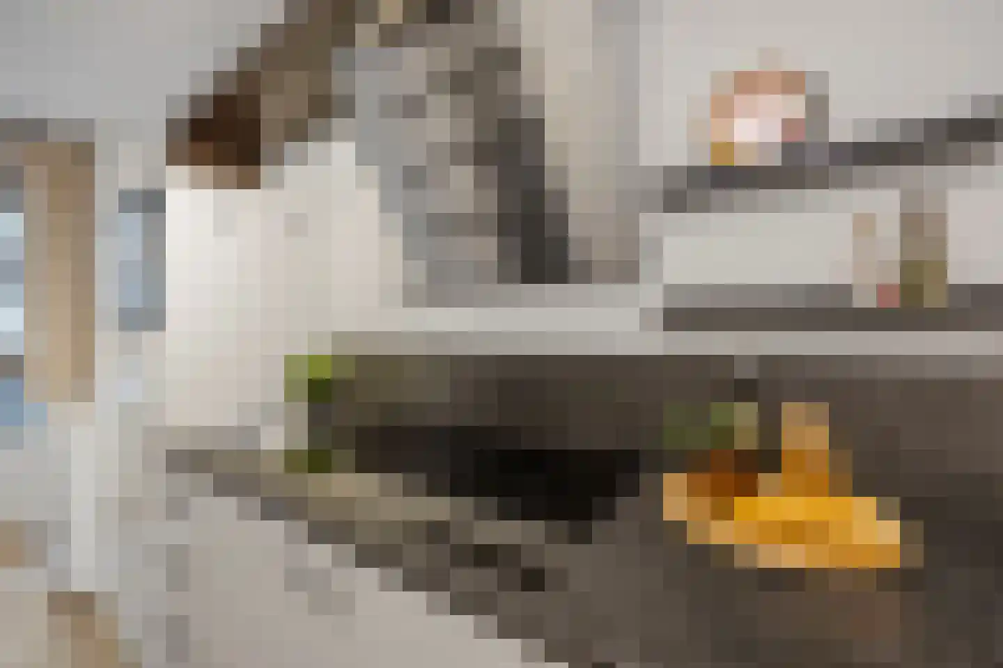 Hofmeesterstraat 10 's-Hertogenbosch thumbnail 12