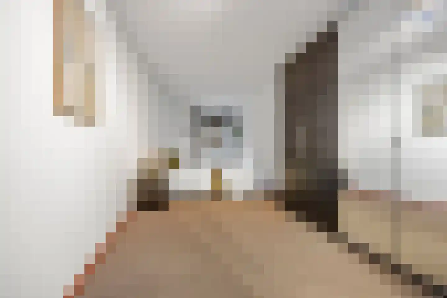 Hofmeesterstraat 10 's-Hertogenbosch thumbnail 23