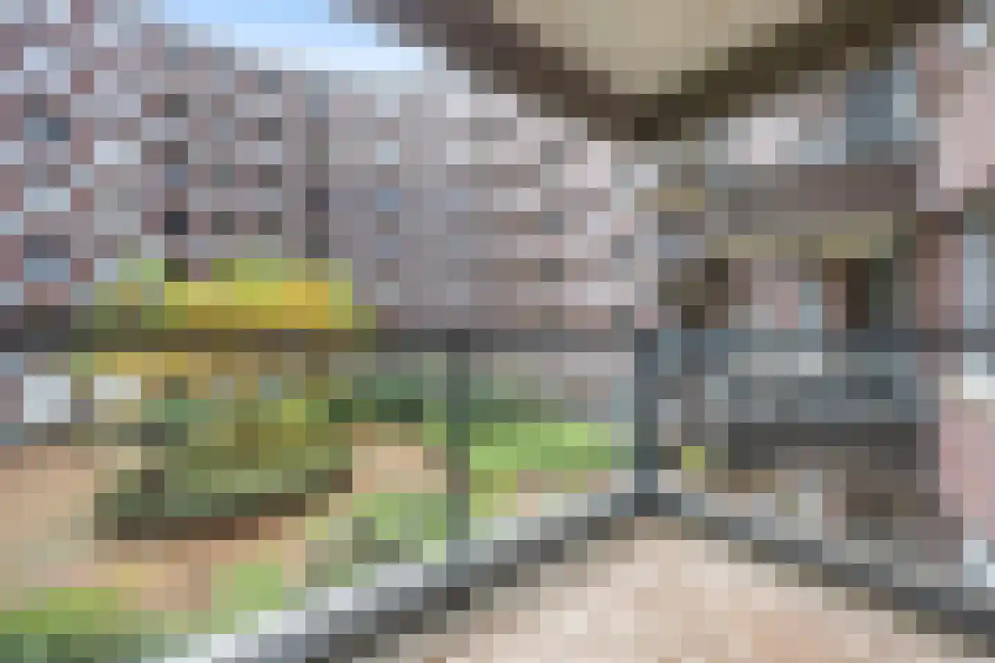 Hofmeesterstraat 10 's-Hertogenbosch thumbnail 26