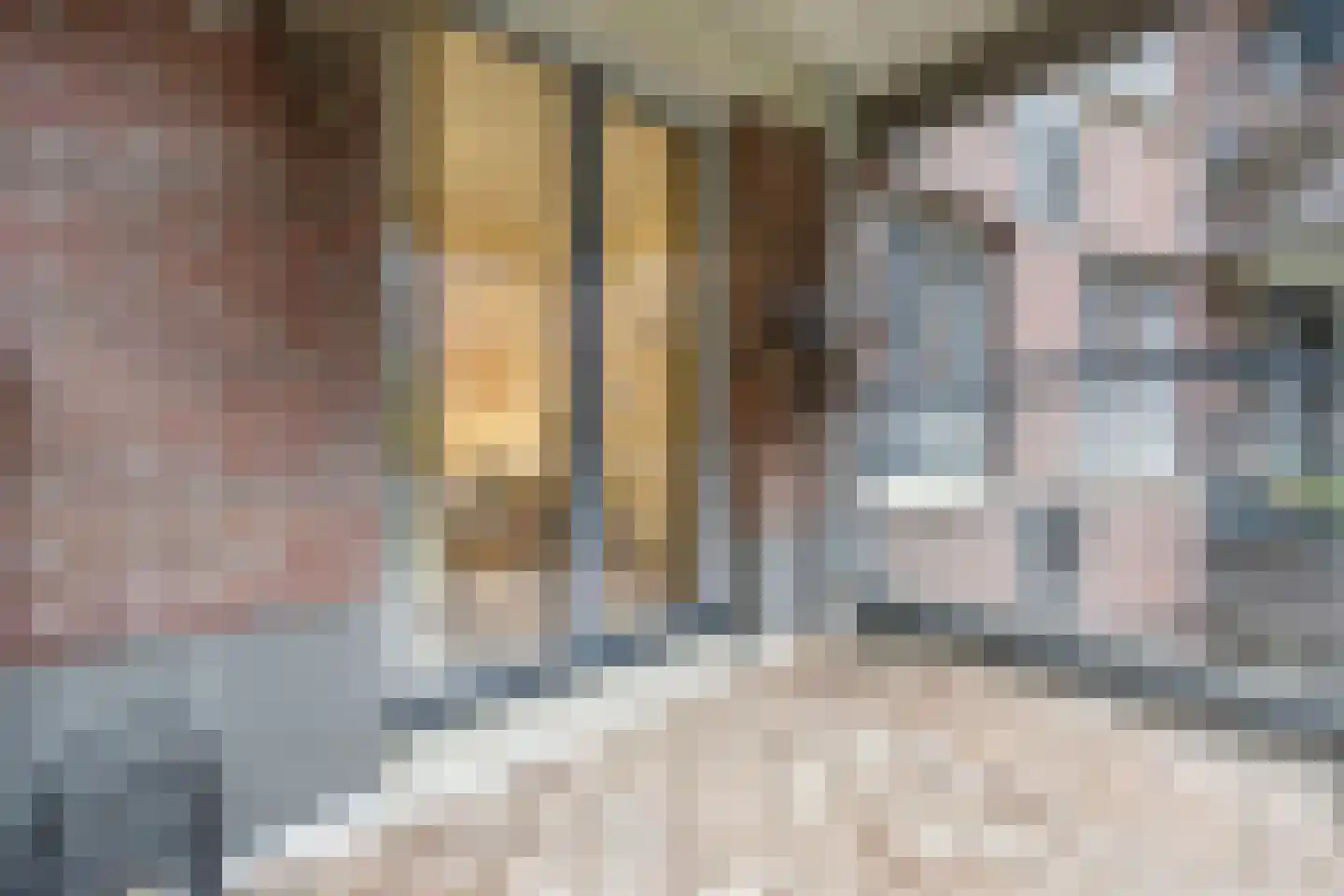 Hofmeesterstraat 10 's-Hertogenbosch thumbnail 27