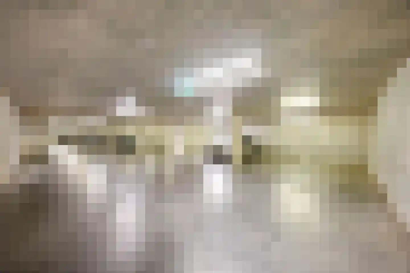 Hofmeesterstraat 10 's-Hertogenbosch thumbnail 34