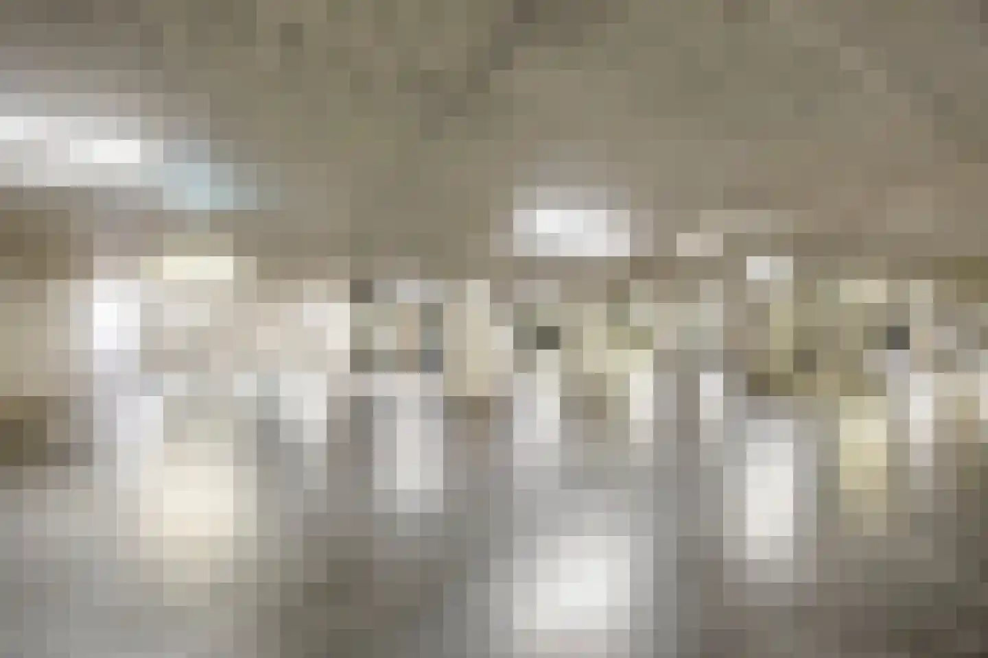 Hofmeesterstraat 10 's-Hertogenbosch thumbnail 35