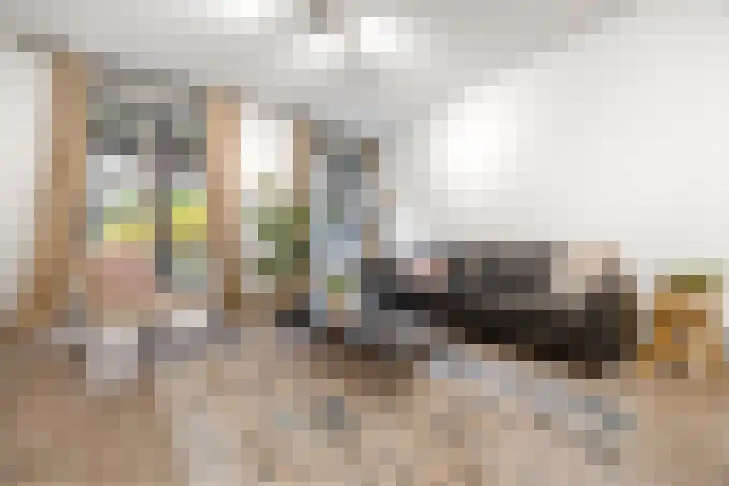 Hofmeesterstraat 10 's-Hertogenbosch thumbnail 5