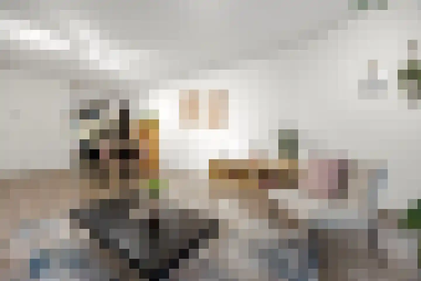 Hofmeesterstraat 10 's-Hertogenbosch thumbnail 6