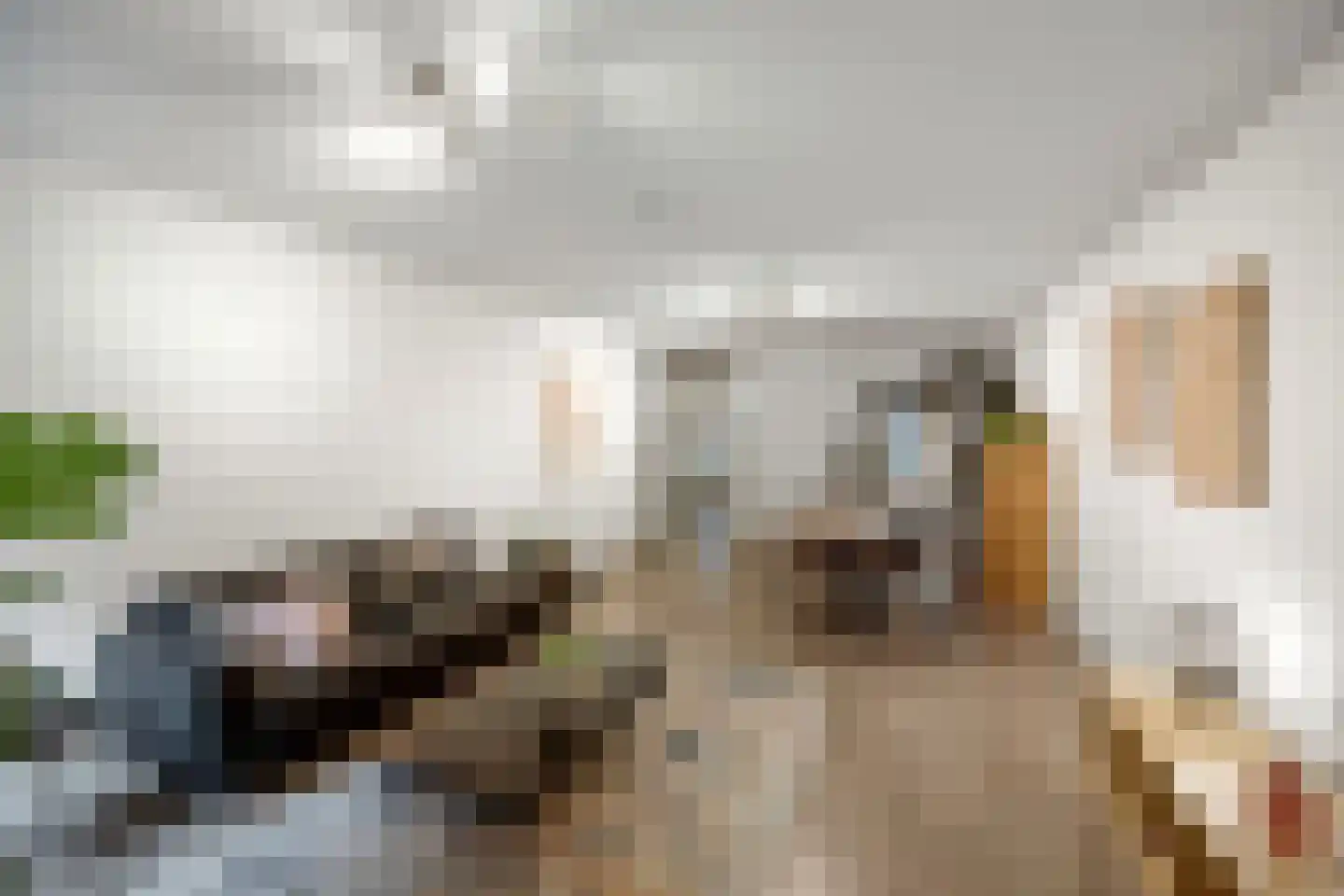 Hofmeesterstraat 10 's-Hertogenbosch thumbnail 7
