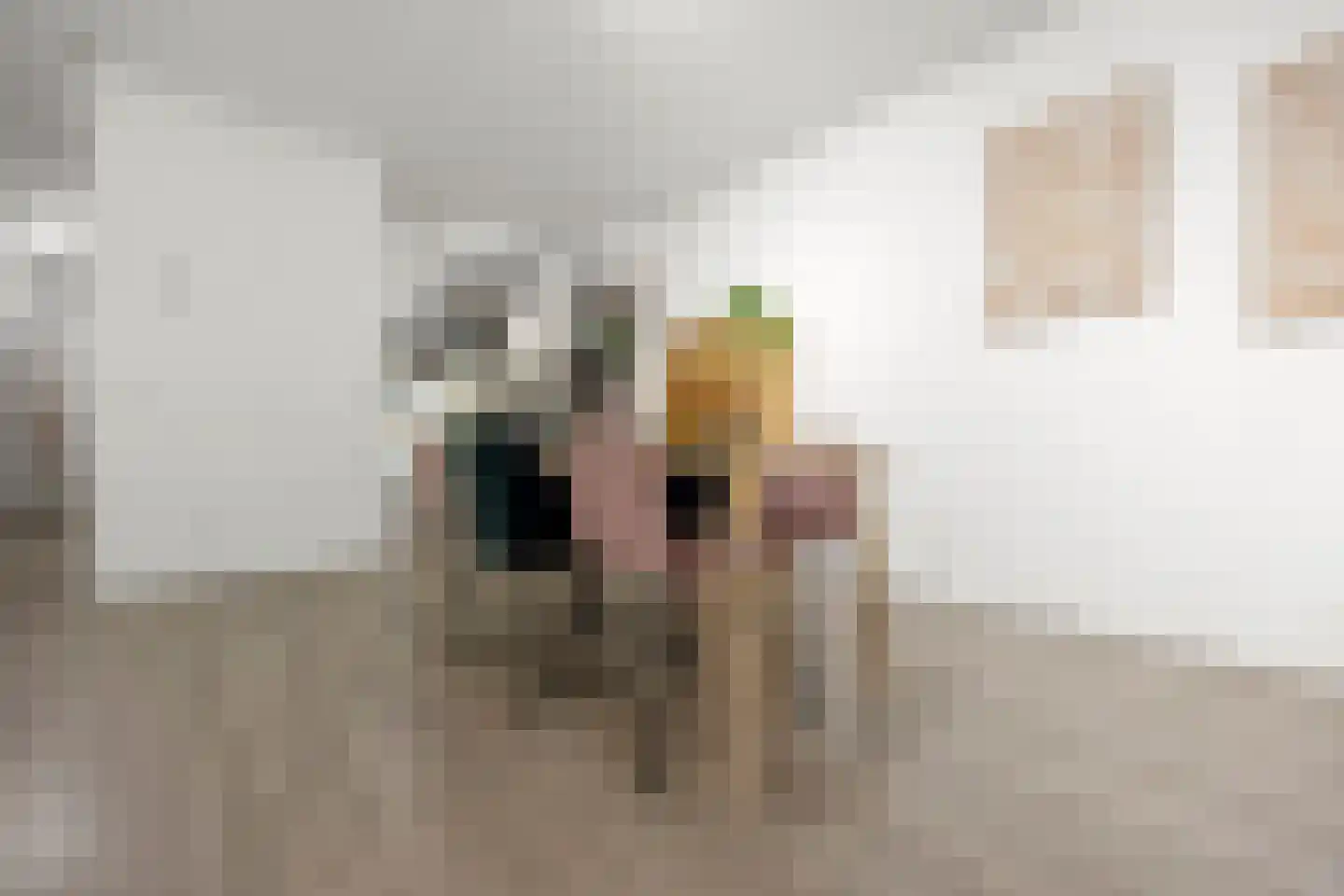 Hofmeesterstraat 10 's-Hertogenbosch thumbnail 8