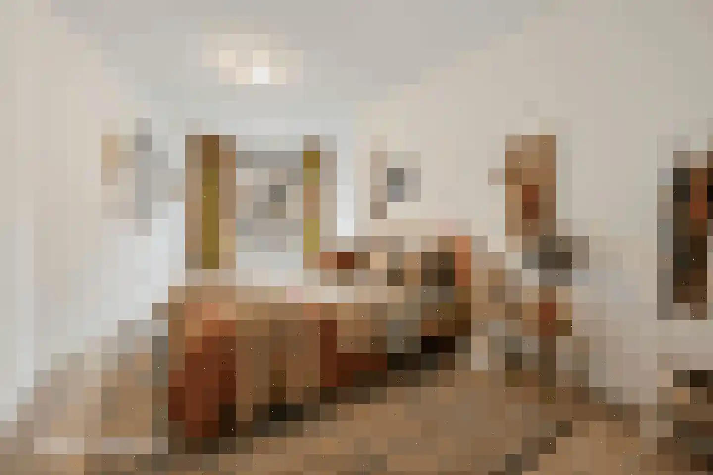 Hofmeesterstraat 28 's-Hertogenbosch thumbnail 11