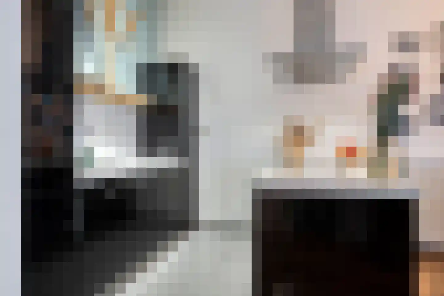 Hofmeesterstraat 3 's-Hertogenbosch thumbnail 11