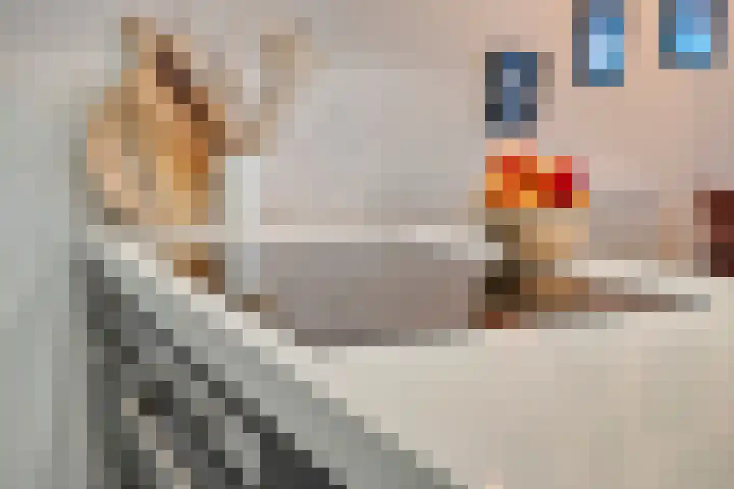 Hofmeesterstraat 3 's-Hertogenbosch thumbnail 14