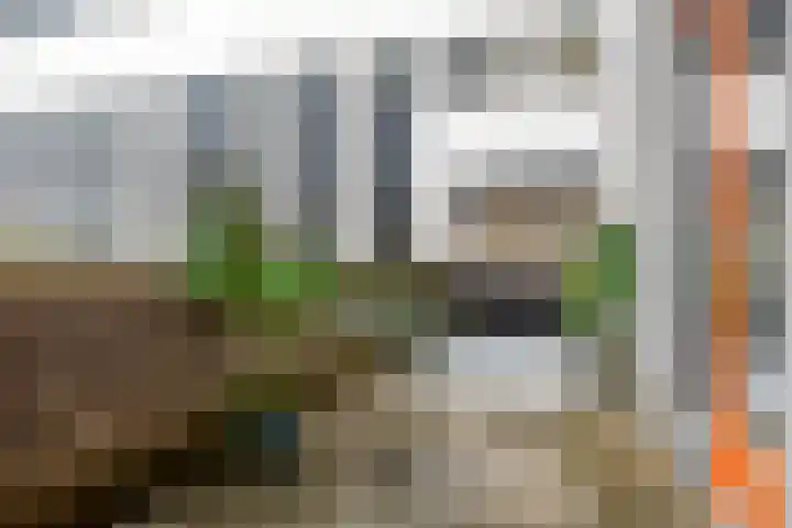 Hofmeesterstraat 3 's-Hertogenbosch thumbnail 23