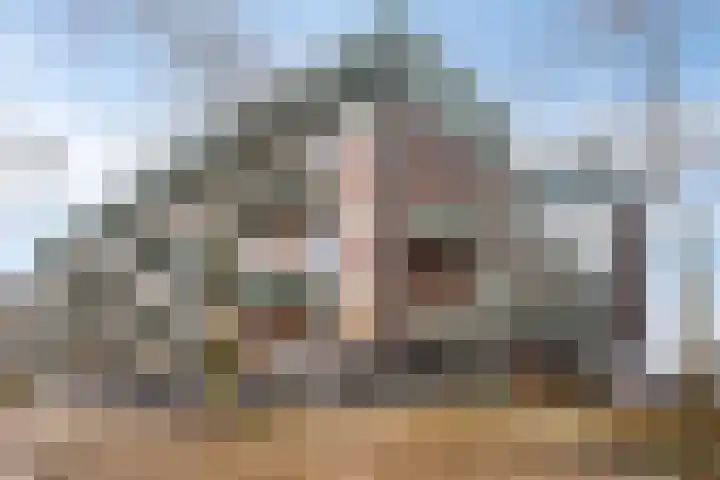 Hofmeesterstraat 3 's-Hertogenbosch thumbnail 25