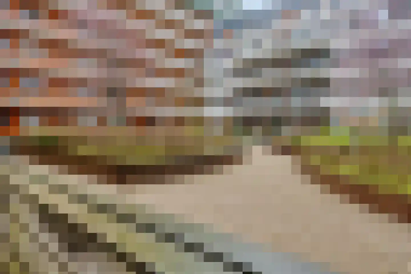 Hofmeesterstraat 3 's-Hertogenbosch thumbnail 28