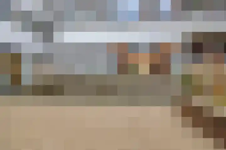 Hofmeesterstraat 3 's-Hertogenbosch thumbnail 29
