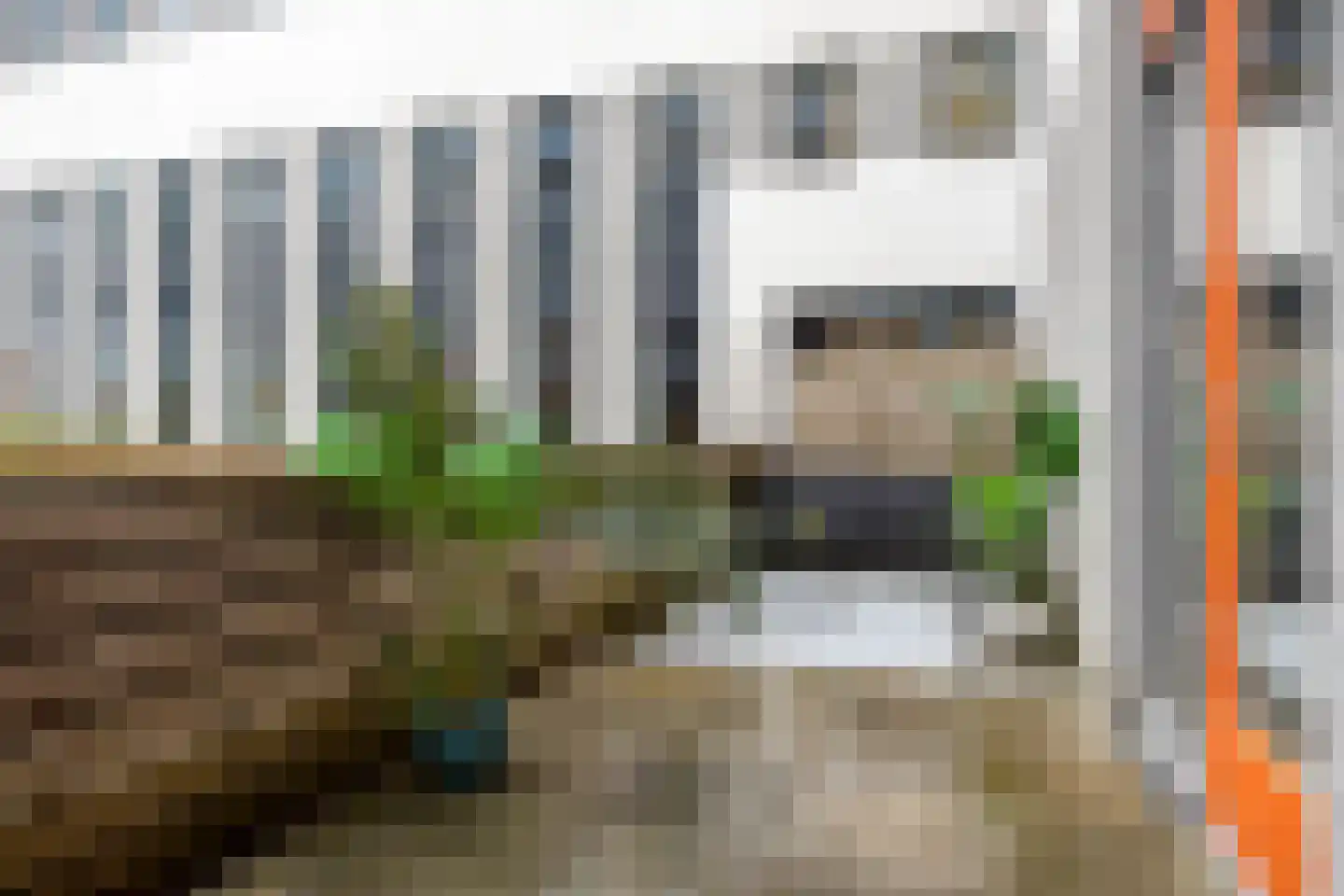 Hofmeesterstraat 3 's-Hertogenbosch thumbnail 4