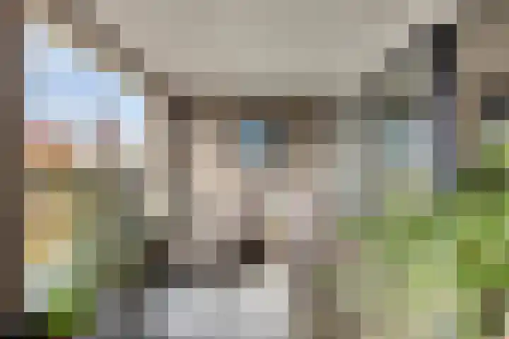 Hofmeesterstraat 44 's-Hertogenbosch thumbnail 20