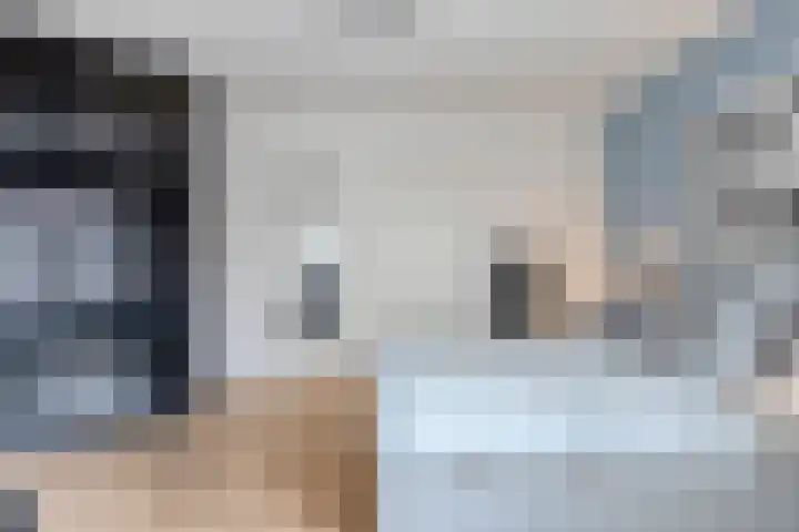 Hofmeesterstraat 44 's-Hertogenbosch thumbnail 31