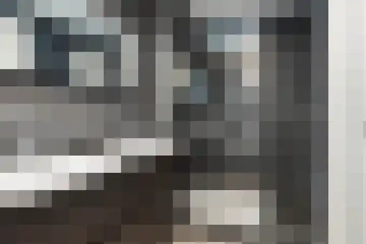 Hofmeesterstraat 44 's-Hertogenbosch thumbnail 34