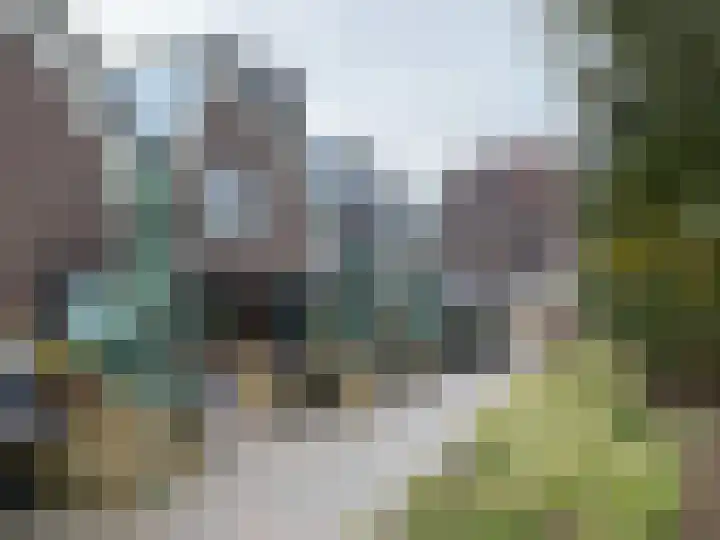 Hofmeesterstraat 44 's-Hertogenbosch thumbnail 51