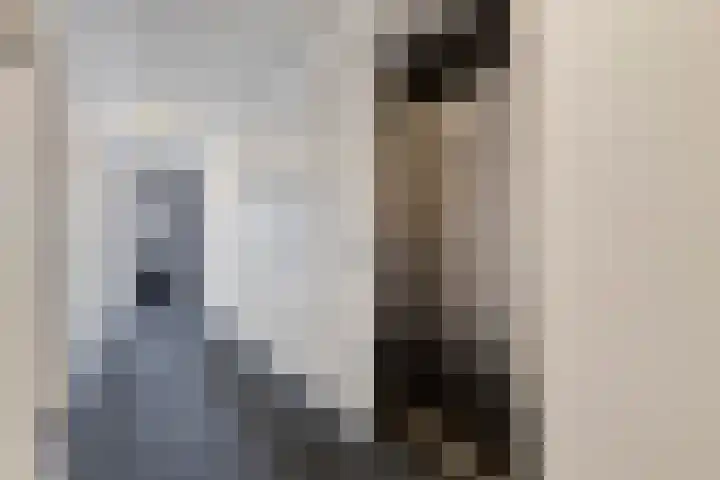 Hofmeesterstraat 44 's-Hertogenbosch thumbnail 7