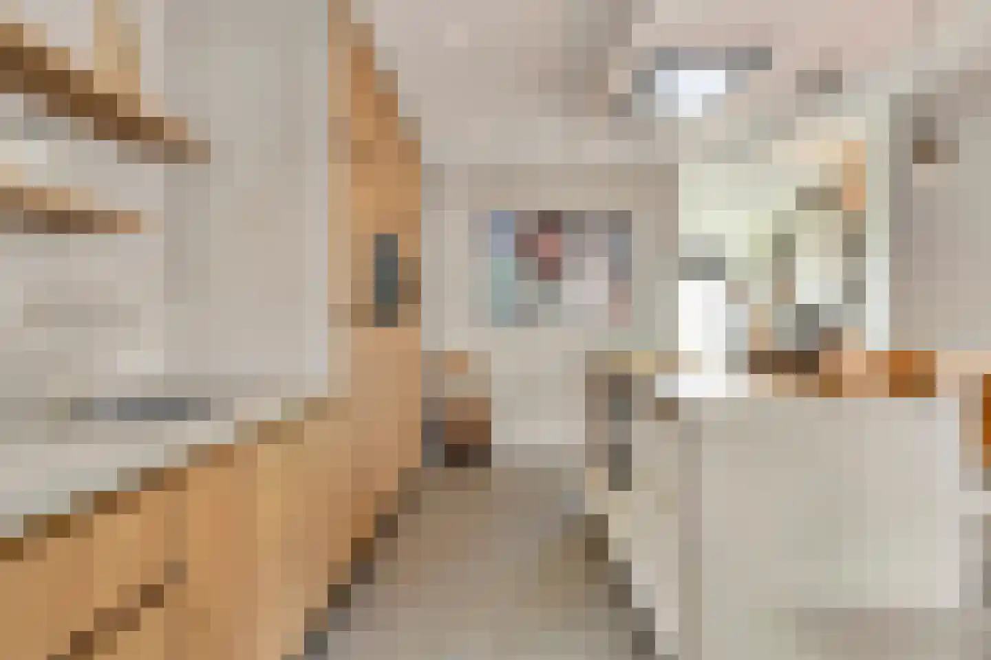 Hofmeesterstraat 52 's-Hertogenbosch thumbnail 14