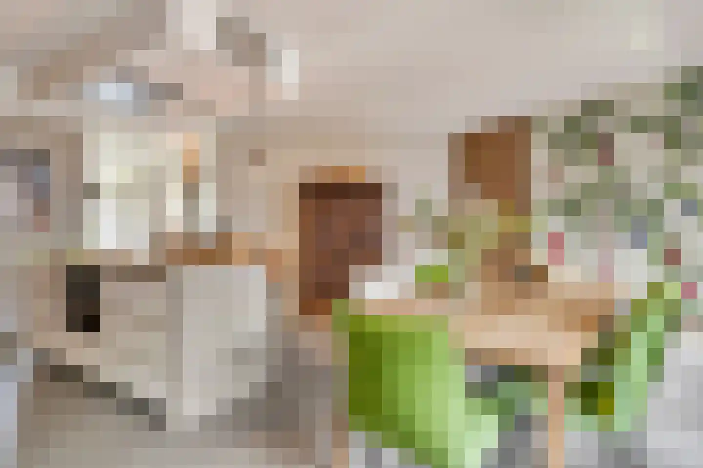 Hofmeesterstraat 52 's-Hertogenbosch thumbnail 20