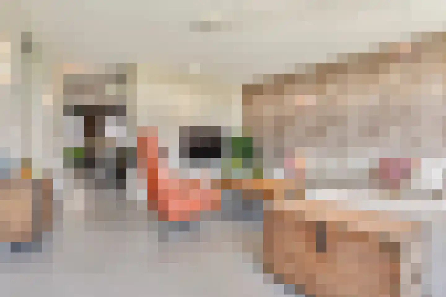 Hofmeesterstraat 52 's-Hertogenbosch thumbnail 5