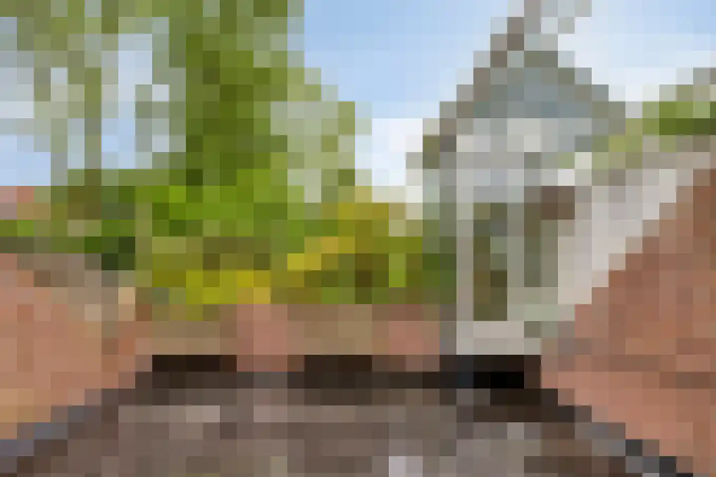 Hofmeijerstraat 50 Oldenzaal thumbnail 30