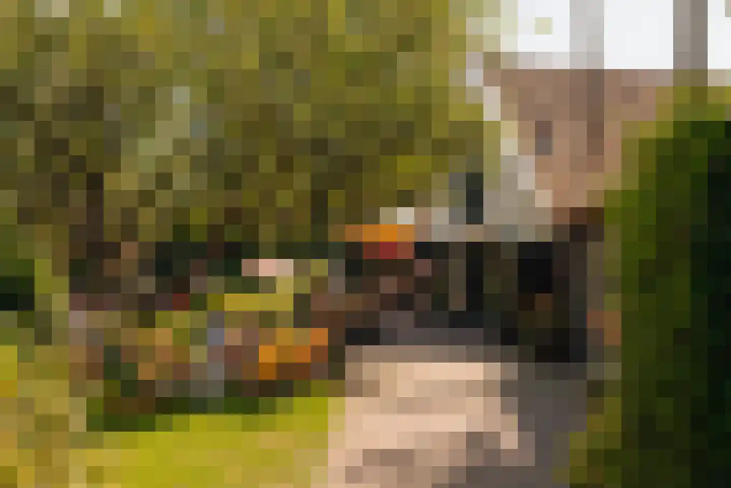 Hofmeyrstraat 38 2 Amsterdam thumbnail 22