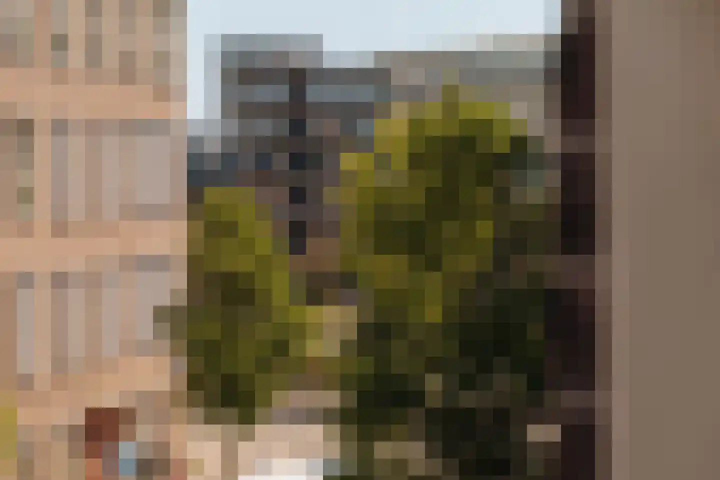 Hofmeyrstraat 38 2 Amsterdam thumbnail 5