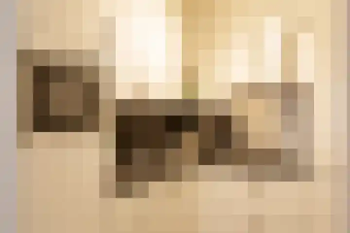 Hofmeyrstraat 40 2 Amsterdam thumbnail 7