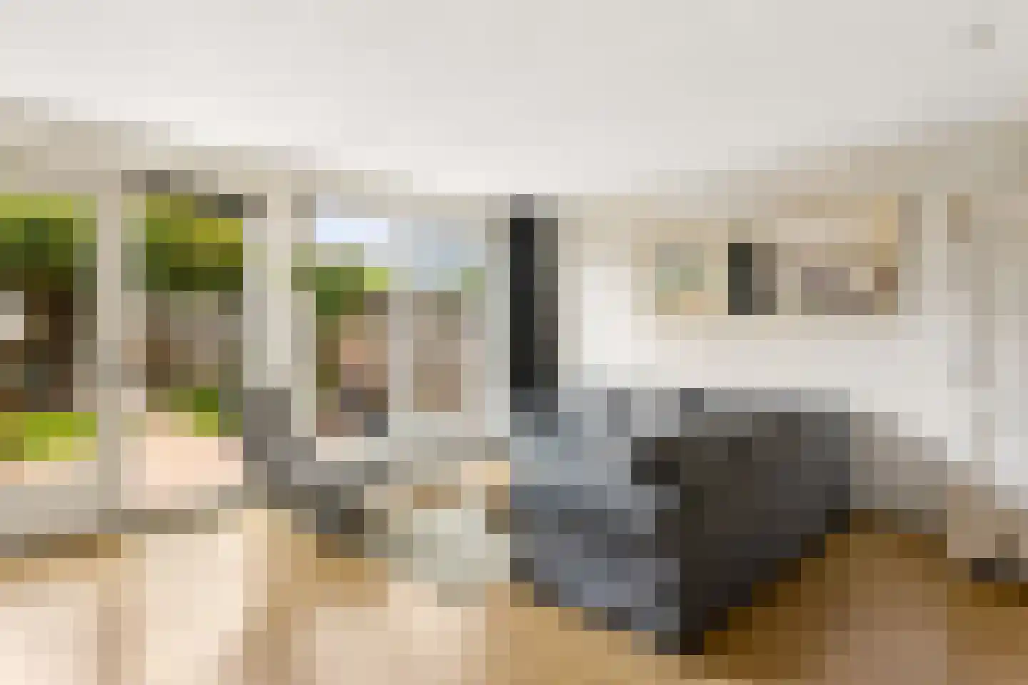 Hofmuur 10 Houten thumbnail 11