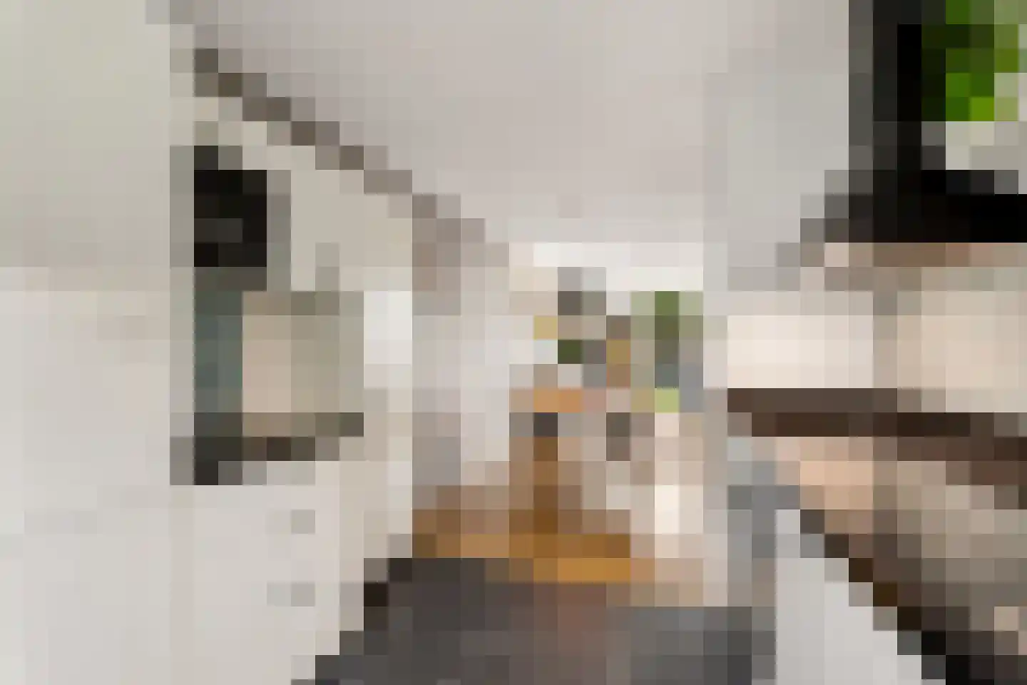 Hofmuur 10 Houten thumbnail 16
