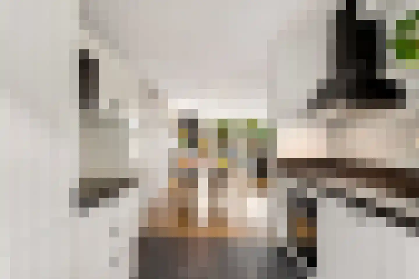 Hofmuur 10 Houten thumbnail 20