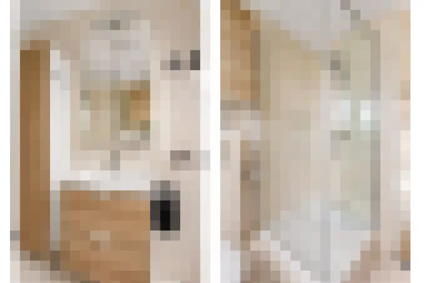 Hofmuur 10 Houten thumbnail 35