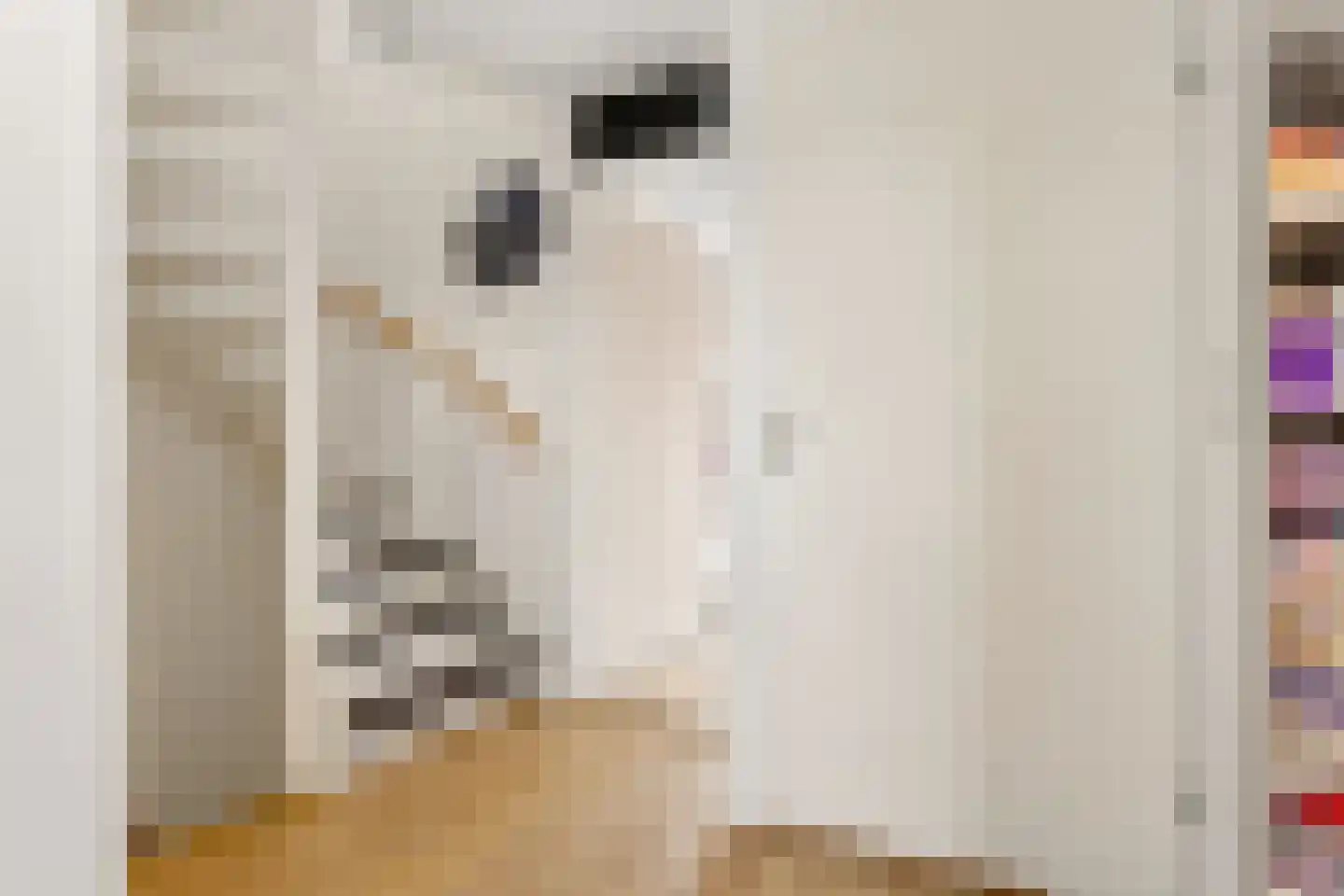 Hofmuur 10 Houten thumbnail 36