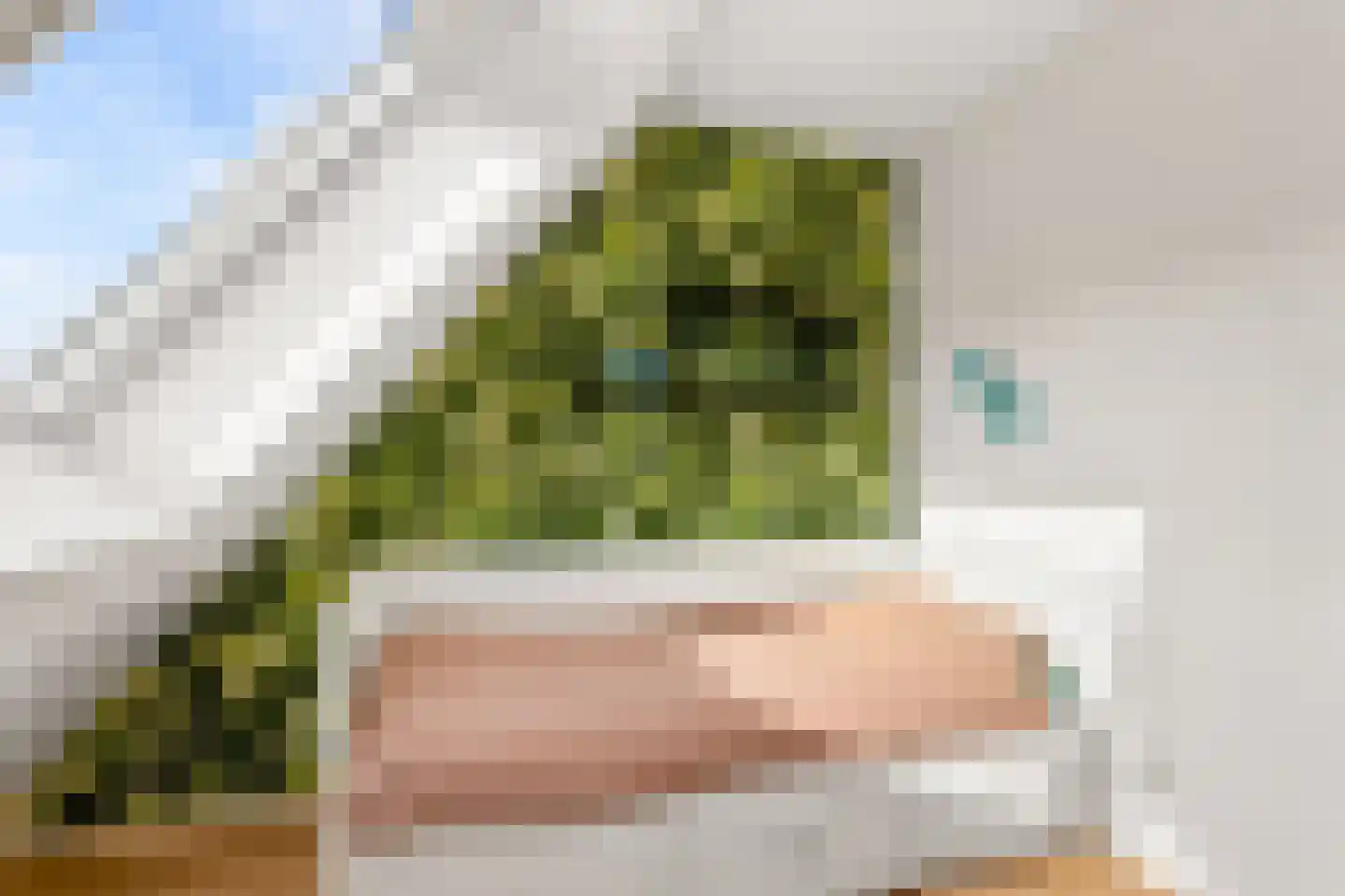 Hofmuur 10 Houten thumbnail 41
