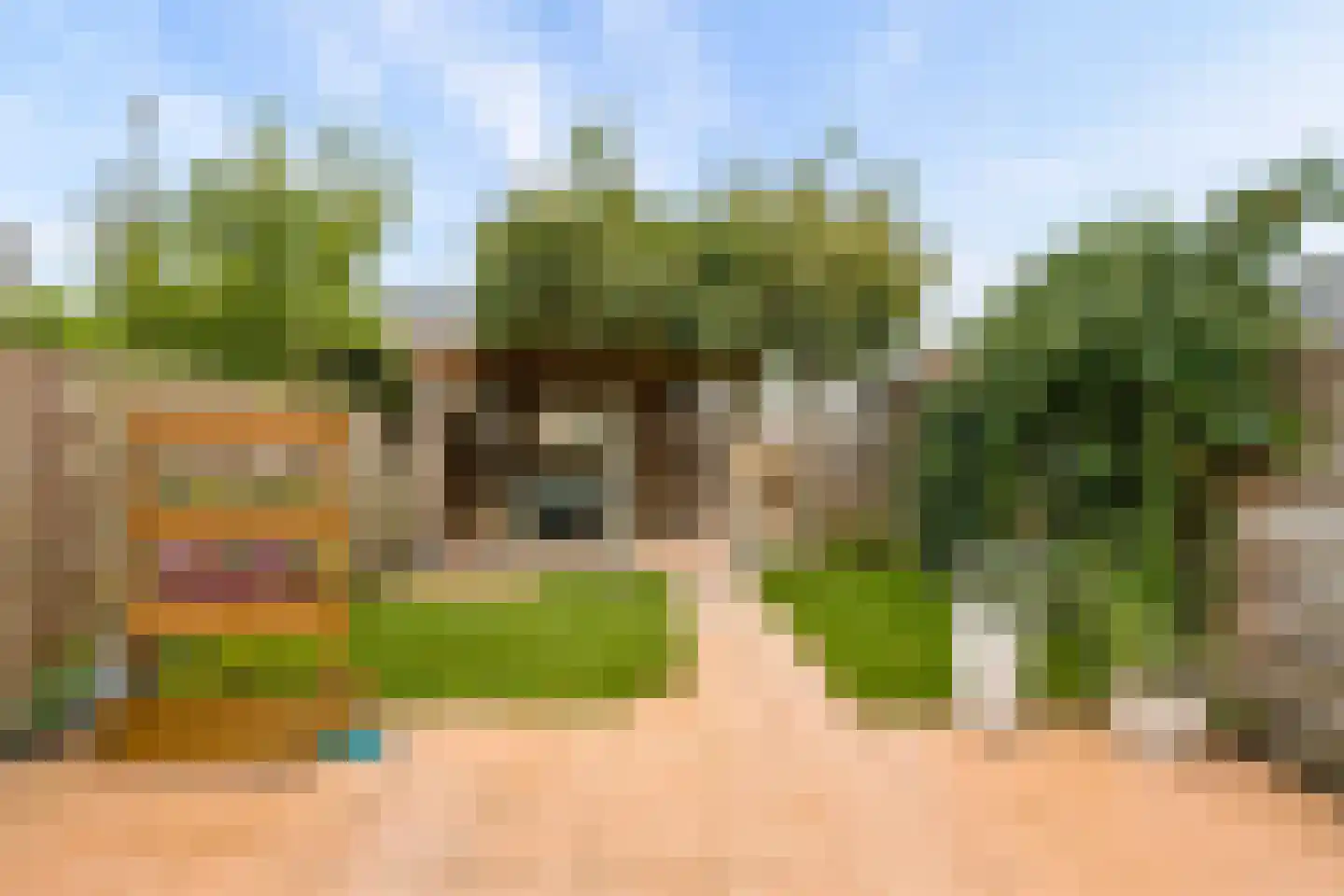 Hofmuur 10 Houten thumbnail 48