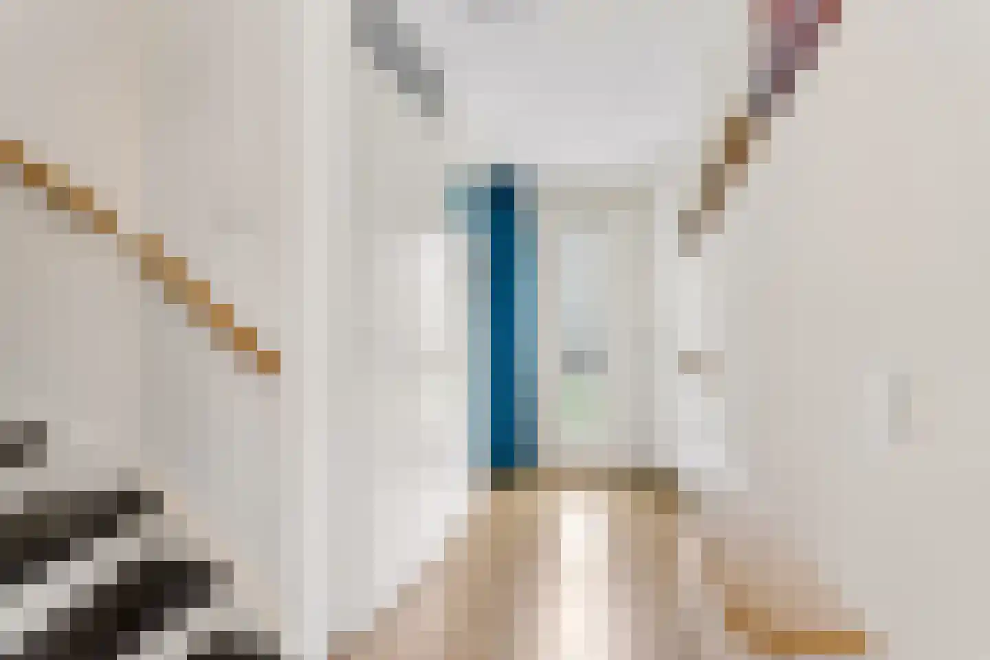 Hofmuur 10 Houten thumbnail 5