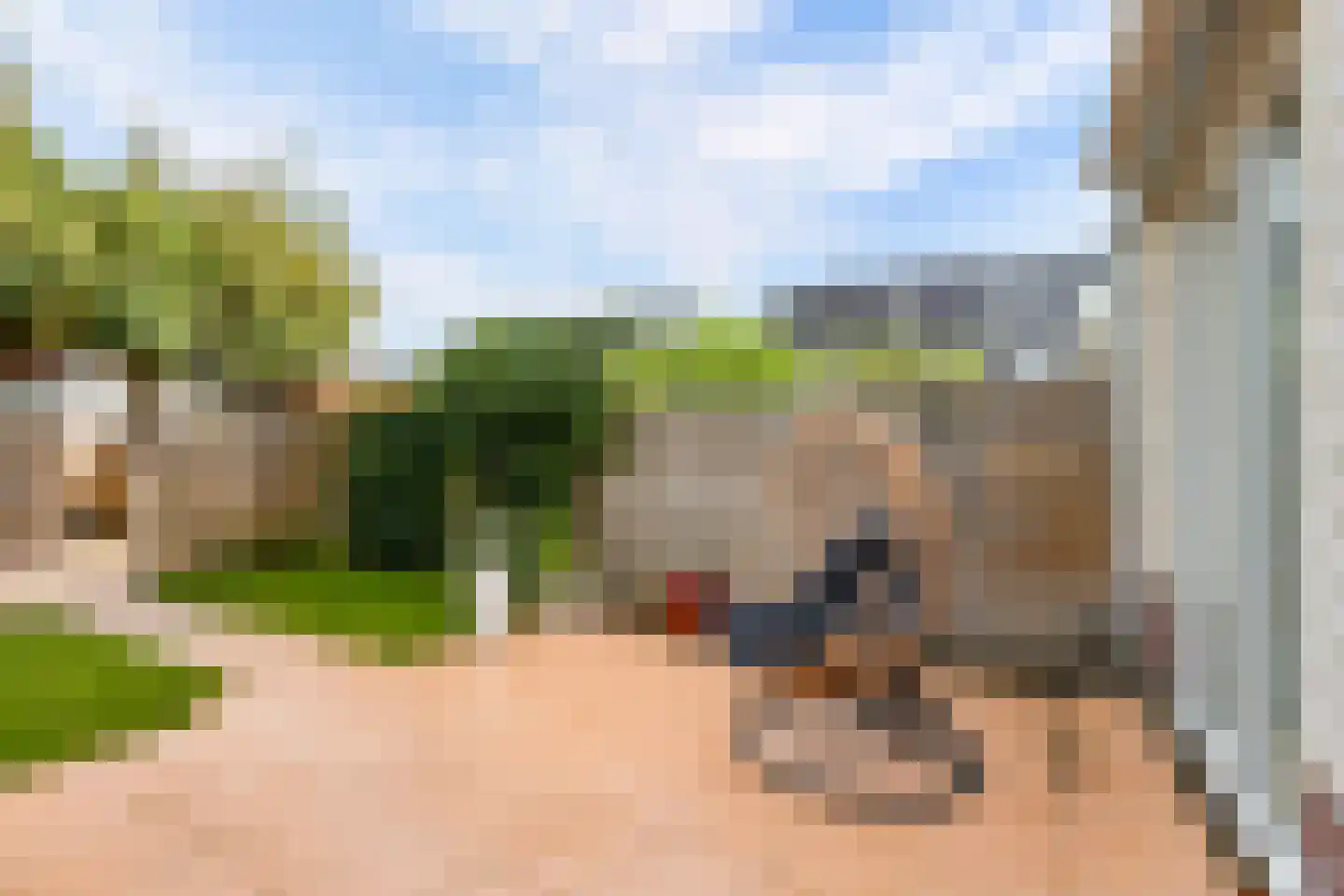 Hofmuur 10 Houten thumbnail 50