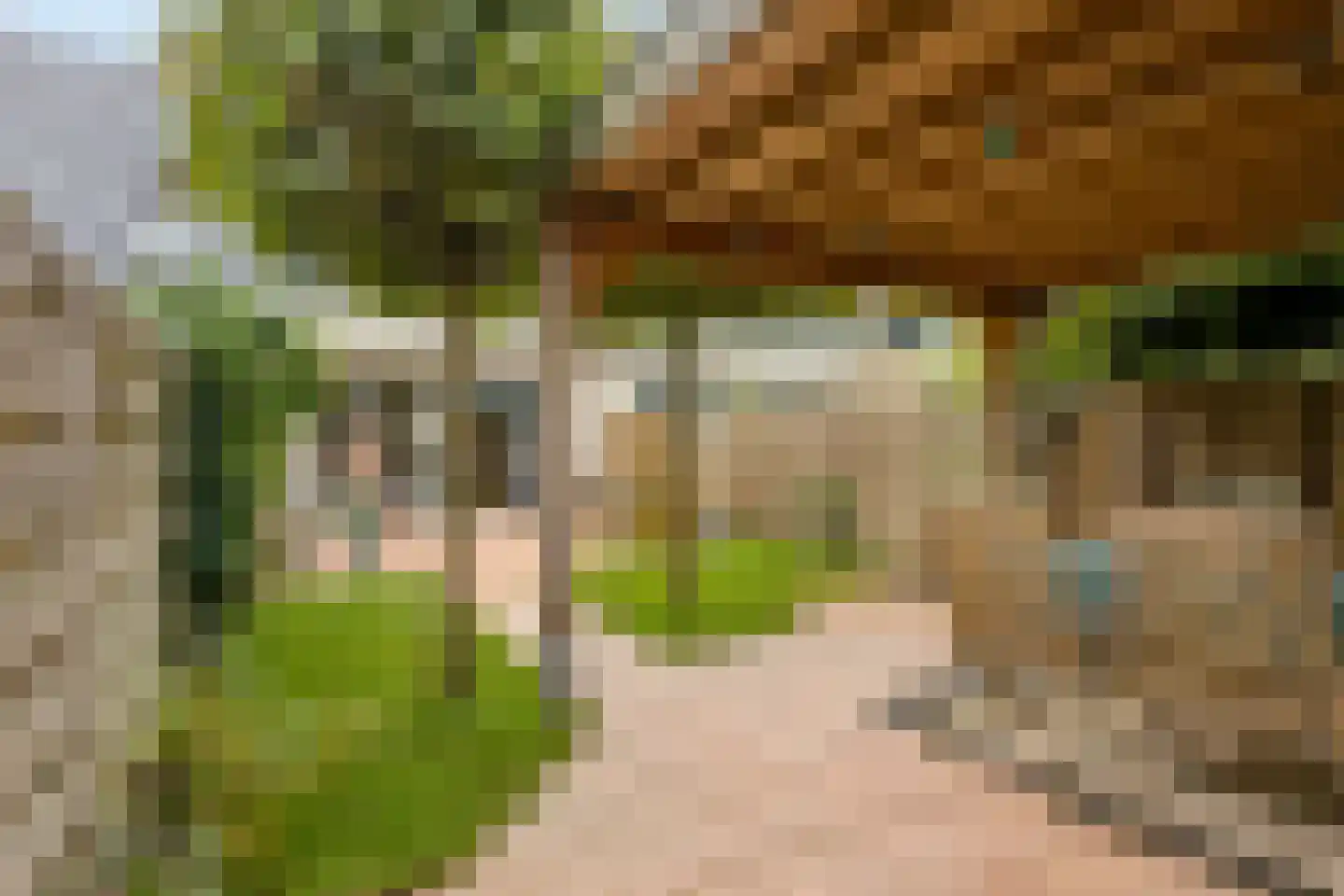 Hofmuur 10 Houten thumbnail 54