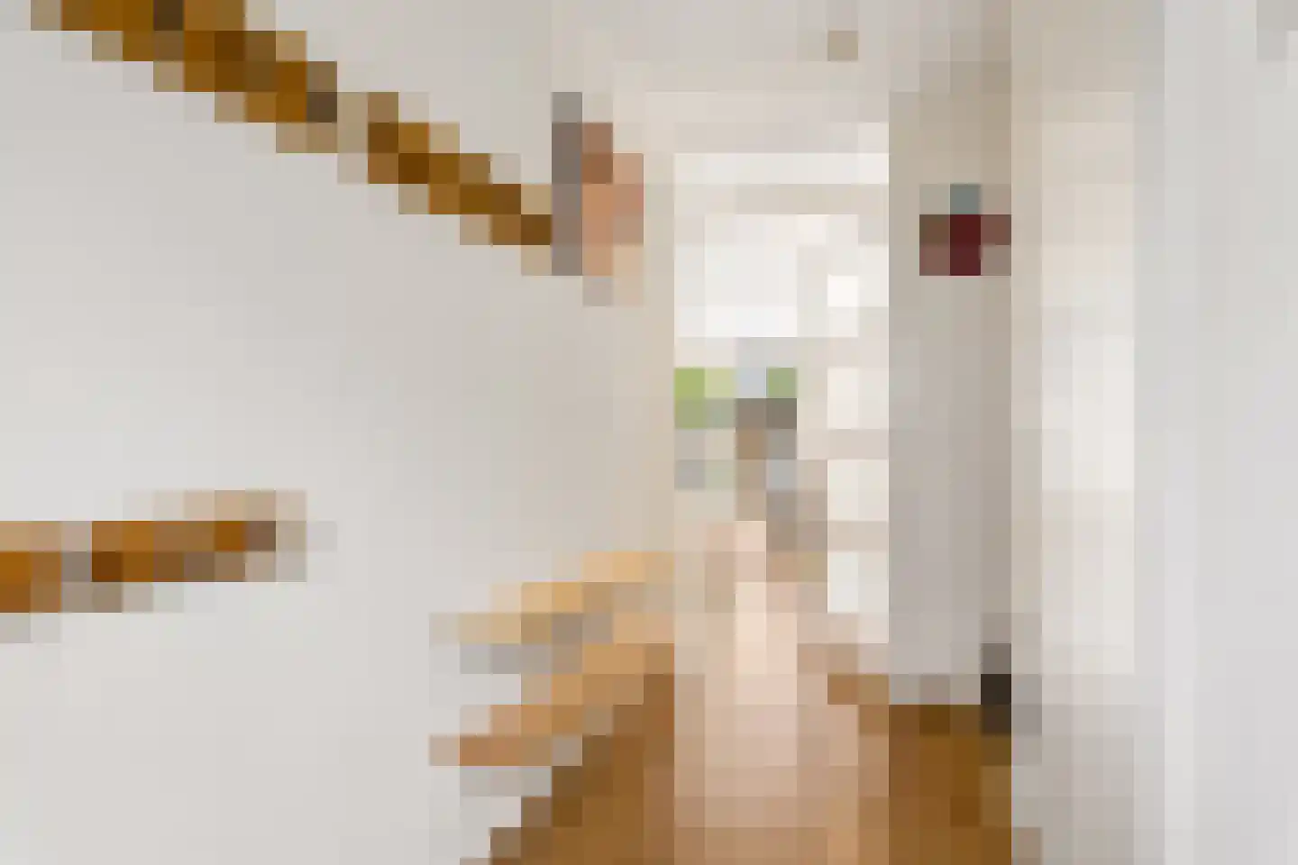 Hofmuur 10 Houten thumbnail 6